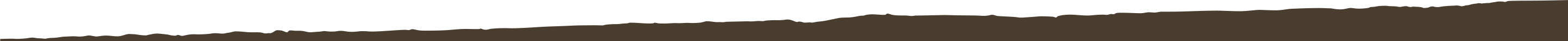 Gord Footer Border